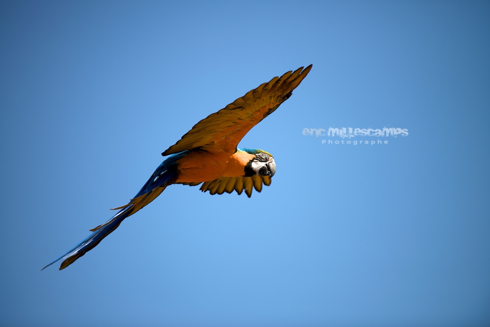 DSC 2121   Version 2